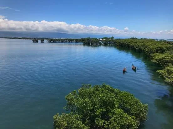 tanguar haor